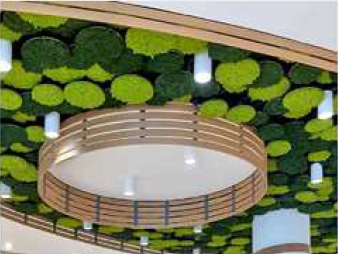 Ceiling Fixtures